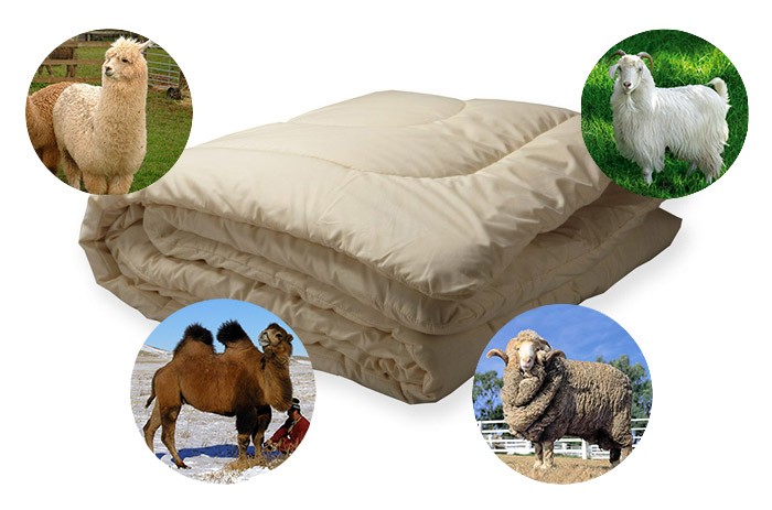 Какое одеяло лучше купить...?⠀
